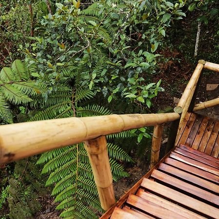 ホテル Salvaje Glamping サンタ・エレナ エクステリア 写真